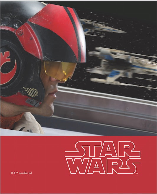 Cuadro Decorativo de 'Star Wars: The Force Awakens' - Diseño exclusivo de Intima Hogar