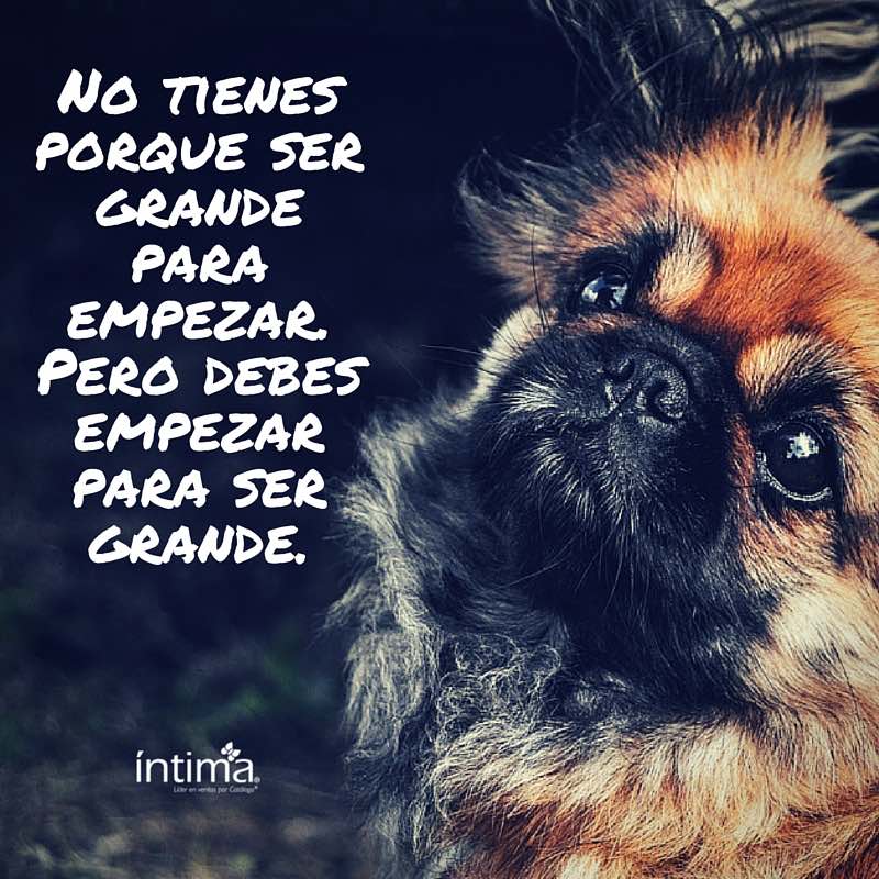 No tienes porque ser grande para empezar. Pero debes empezar para ser grande. #empoderamiento