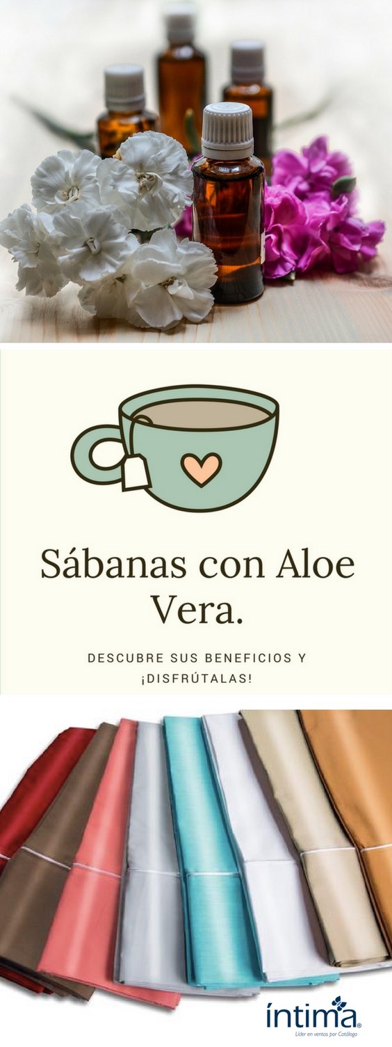 Sábanas con Aloe Vera: Descubre sus Beneficios