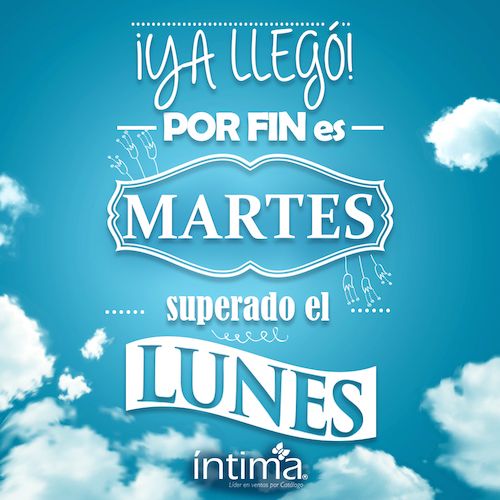 Frases graciosas del Lunes! :)