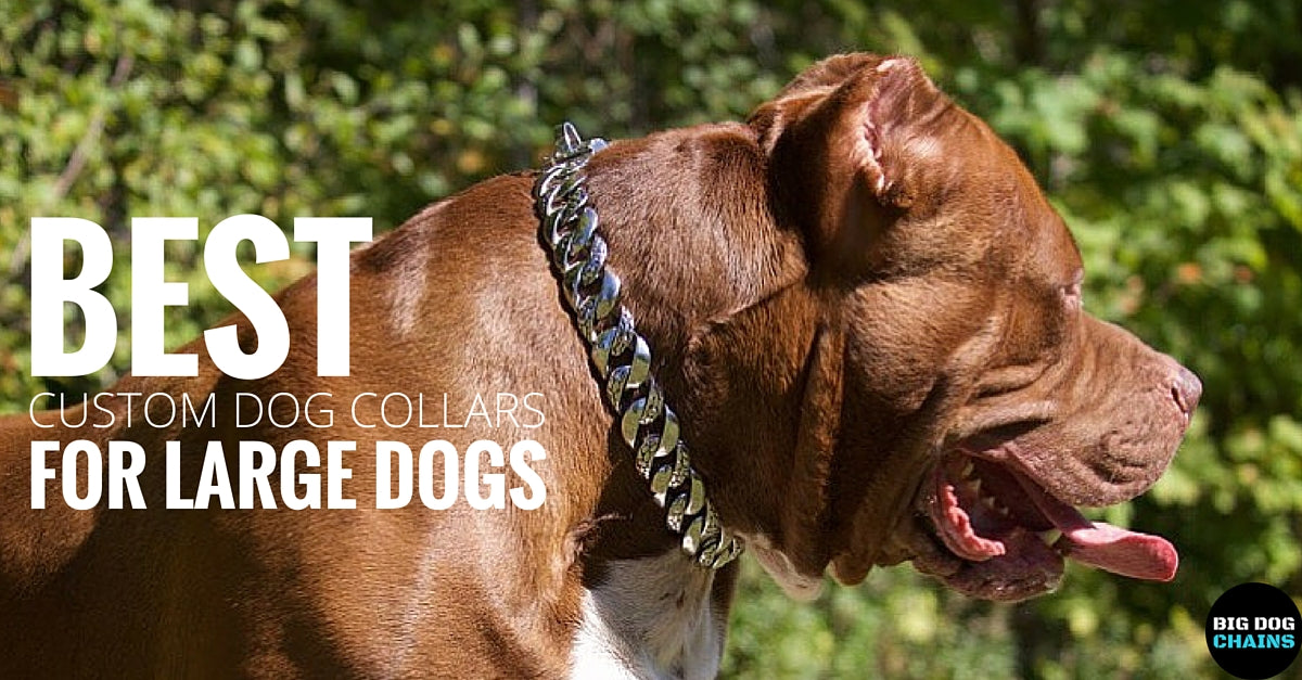 Los mejores collares personalizados para perros grandes - BIG DOG CHAINS