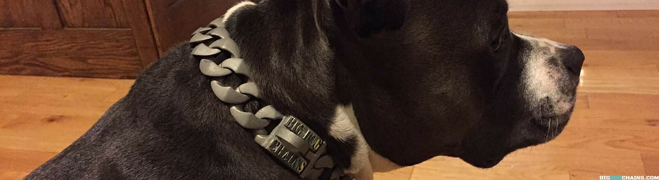 Collar para perros personalizado Commander - CADENAS PARA PERROS GRANDES