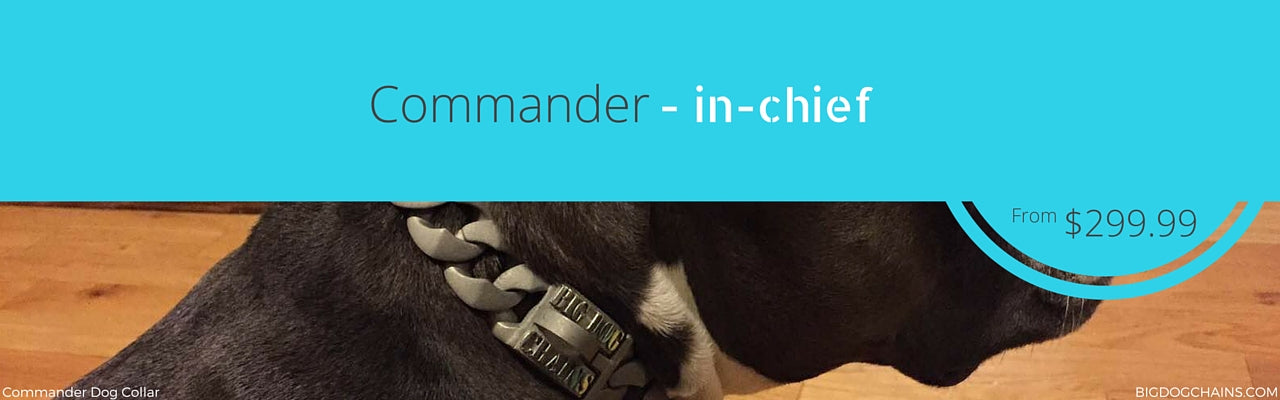 Commander Dog Collar - BIG DOG CHAINS