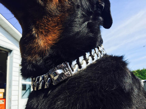 GRANDS CHAÎNES DE CHIEN Magnum Acier inoxydable métal COLLIER DE CHIEN boutique en ligne collier d'animalerie pitbull grands colliers de chien colliers d'intimidation rottweiler doberman collier de chien Bull Mastiff collier de qualité bouledogue bully grand COLLIER bijoux pour animaux de compagnie