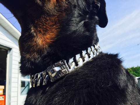 BIG DOG CHAINS Magnum Stainless steel metal DOG COLLAR online store pet shop collar pitbull large dog collars bully collars rottweiler doberman dog collar Bull Mastiff quality collar bulldog bully large COLLAR pet jewelry