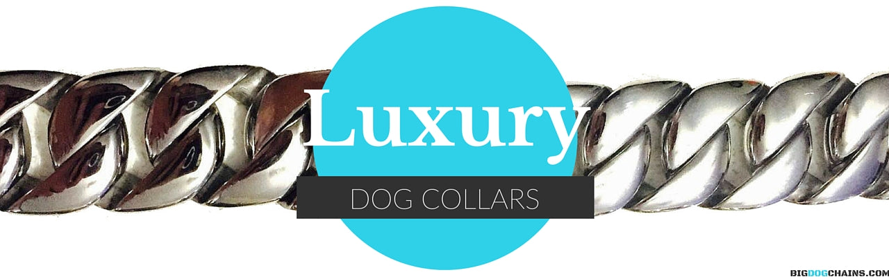 Luxury Dog Collar - BIG DOG CHAINS