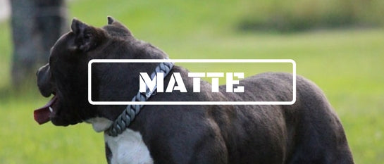 Unique Dog Collar Matte Finish - BIG DOG CHAINS