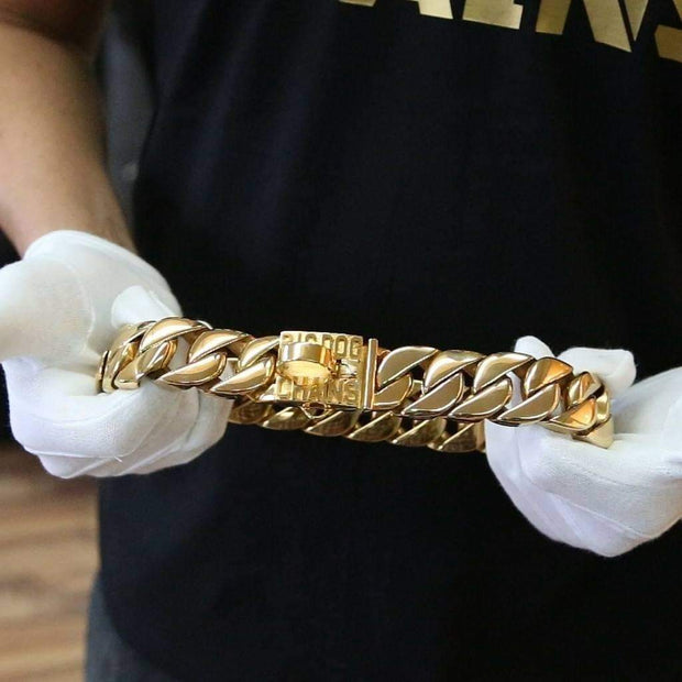 gold chain dog collar