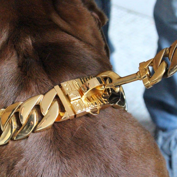 kilo dog collar
