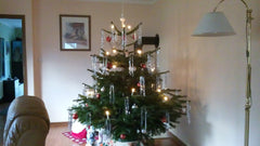 Gustaafs Weihnachtsbaum Greta bei einem Kunden in Rostock