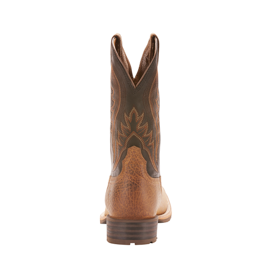 ariat hybrid rancher steel toe