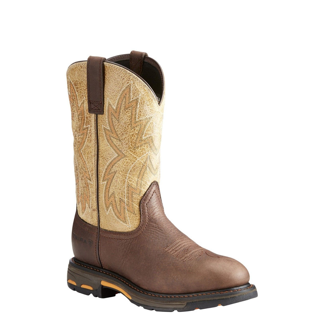 ariat raptor