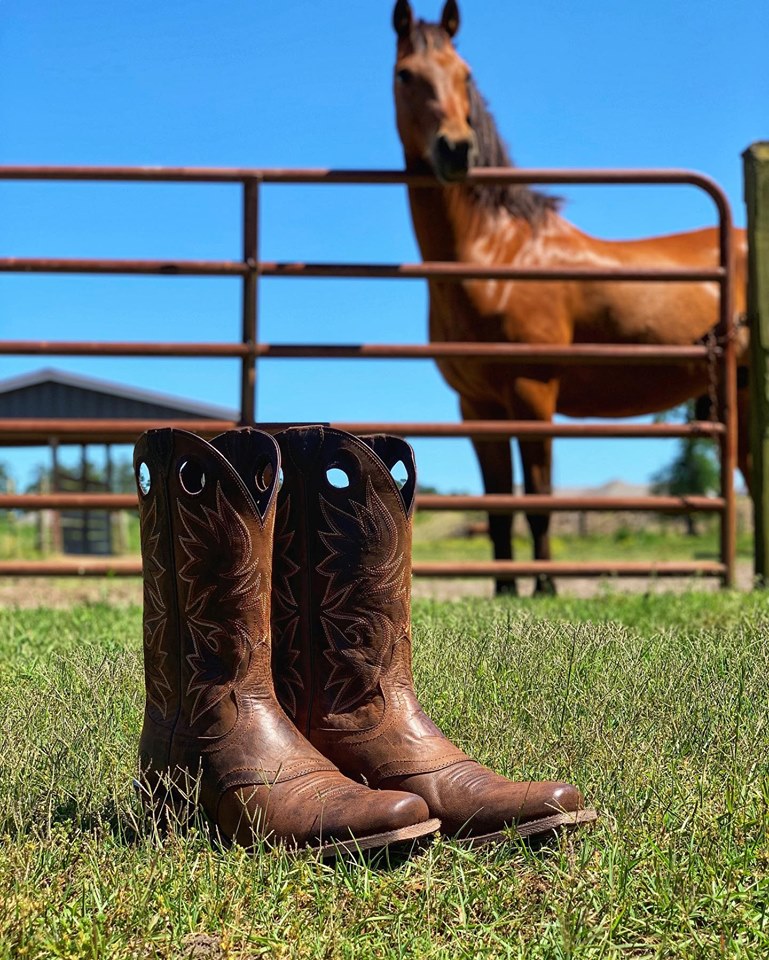 ariat circuit striker