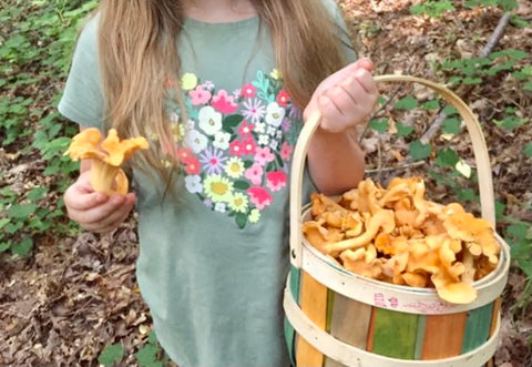 Child holding a basket of Chanterelle mushrooms