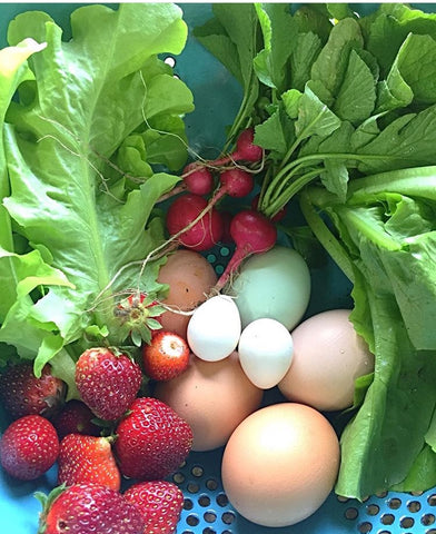 A group of quail eggs, chicken eggs, strawberries, and lettuce