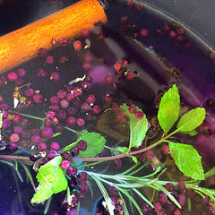 Elderberry syrup cooking 