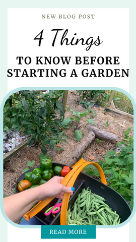 4 Things to Know Before Starting A Garden