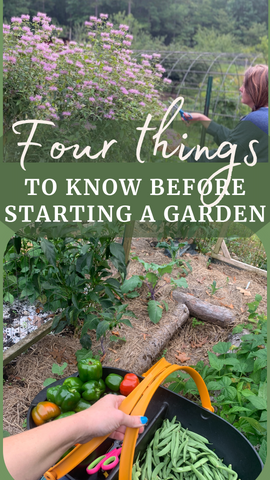 What to Know Before Starting  a Garden