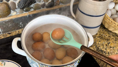 boiling chicken eggs