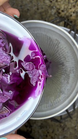 Purple Cabbage Dye