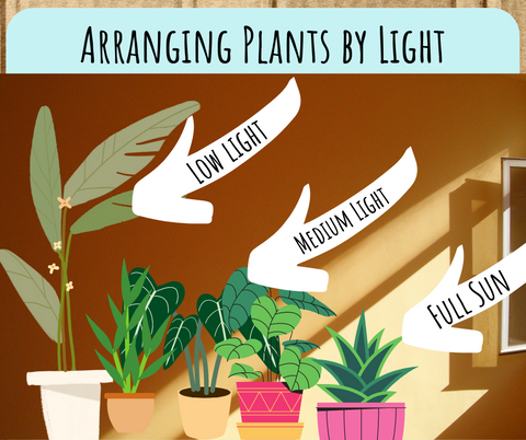 Arranged by size to receive the right amount of sunlight