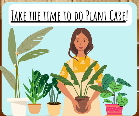 Plant Care, Woman taking care of a plant