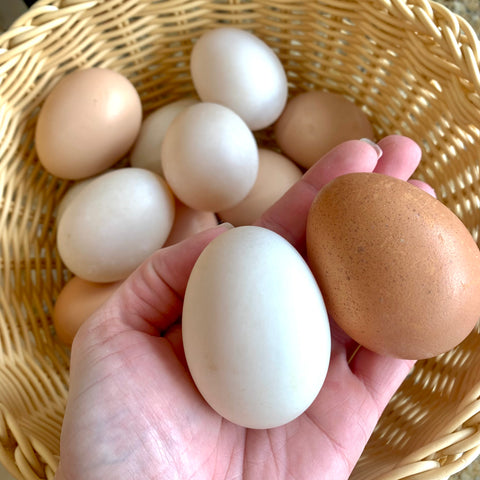 Basket of duck and chicken eggs 