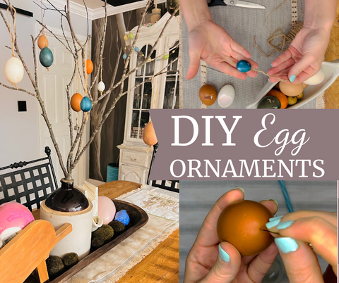 DIY Egg Ornaments