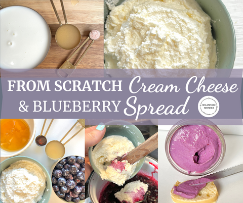 From Scratch Cream Cheese & Blueberry Spread