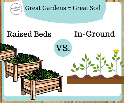 Raised Beds vs In-Ground Beds