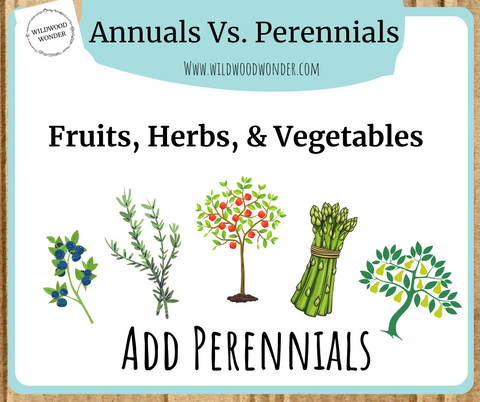 Types of Perennials