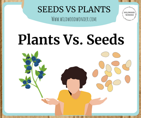 Plants vs Seeds