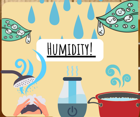 Humidity and plants