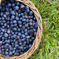 Basket of Fresh Bluberries