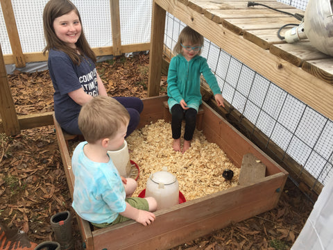 Sandbox in Greenhouse