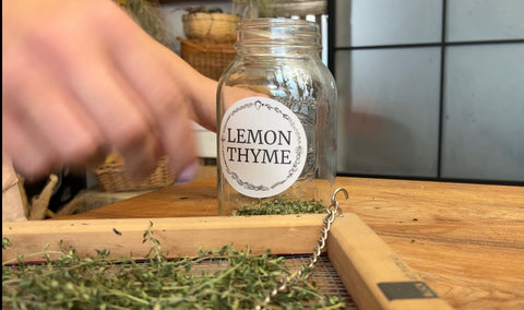 Thyme Labeled Jar