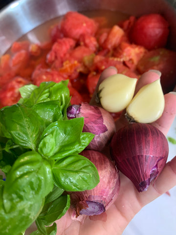 Adding fresh herbs and onions into salsa