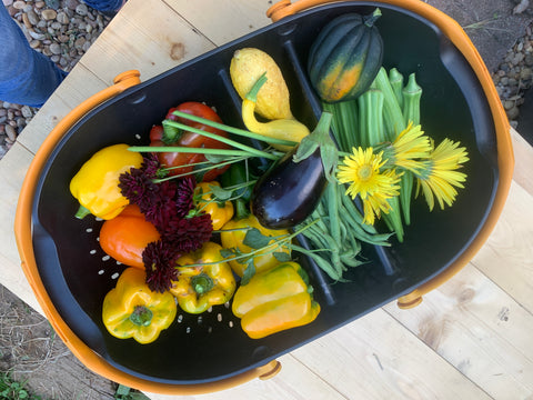 Basket full of colorful veggies