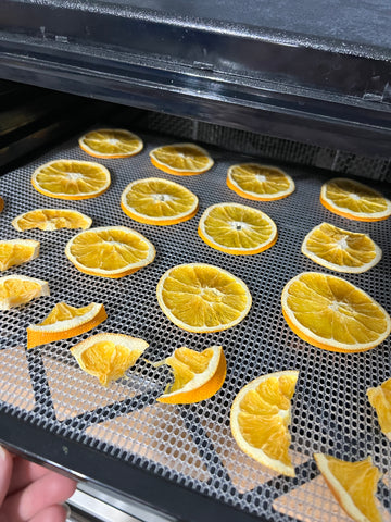 Dehydrating Orange Slices