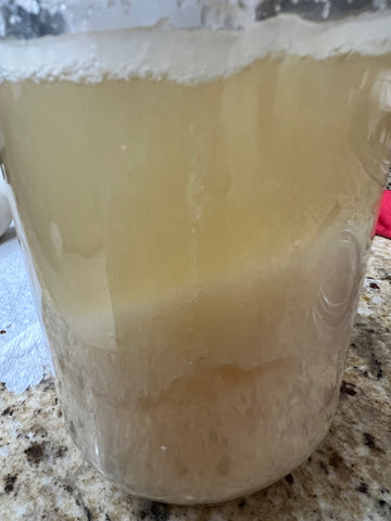 Bubbles in Sourdough Starter