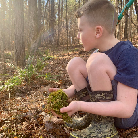 Boy sitting holding a small piece of moss in the woods