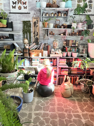 Sunlight Filled Room with Plants