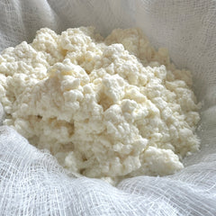 Curds in Cheese Cloth