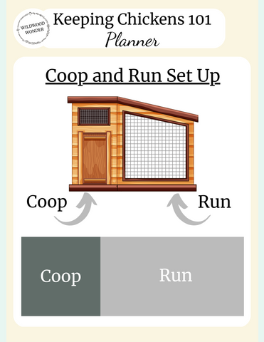 Coop & Run Example for Chickens