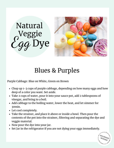 Page from DIY Egg Dying Guide