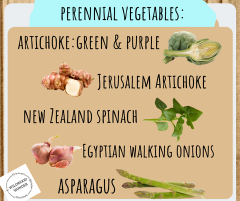 Perennial Vegetables