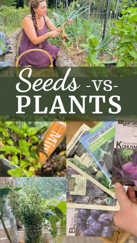Seeds vs Plants