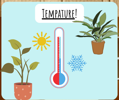 Temperature and how it effects plants