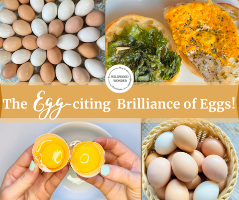 The Egg-Citing Brilliance of Eggs Blog