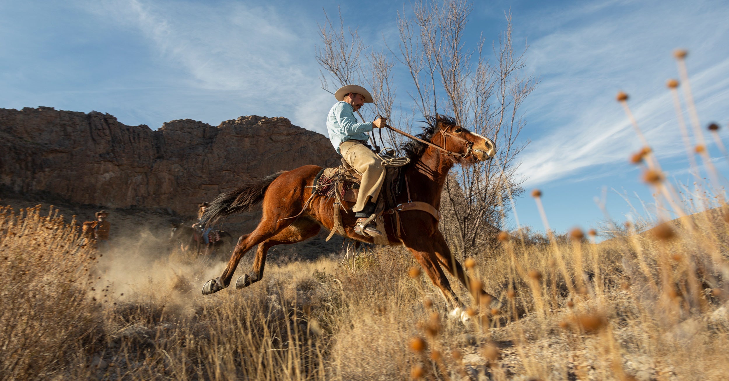 A Cowboy Life: A Kidney for A Cowboy